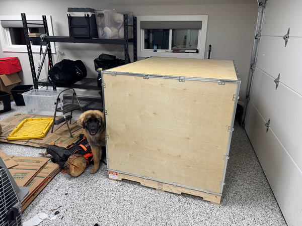 A large wooden Uline shipping crate in a garage next to a Leonberger puppy sitting on flattened cardboard boxes